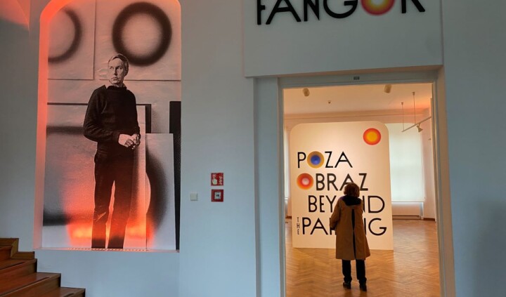 Fangor. Poza obraz
