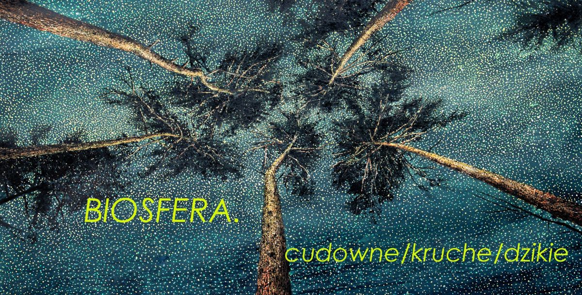 Biosfera – cudowne/kruche/dzikie