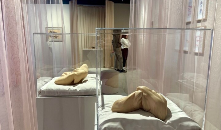 Ciało. Rozkosz i ból