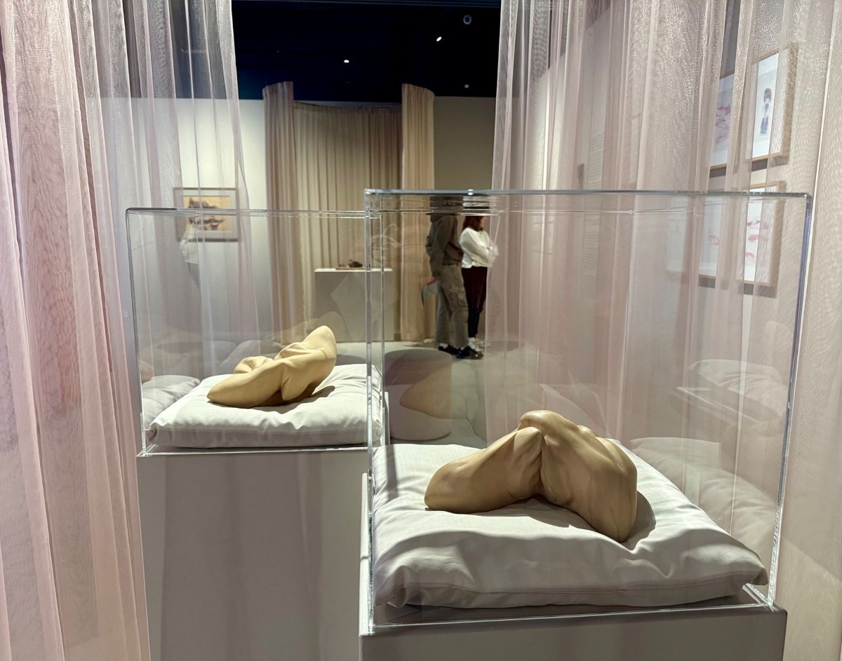 Ciało. Rozkosz i ból