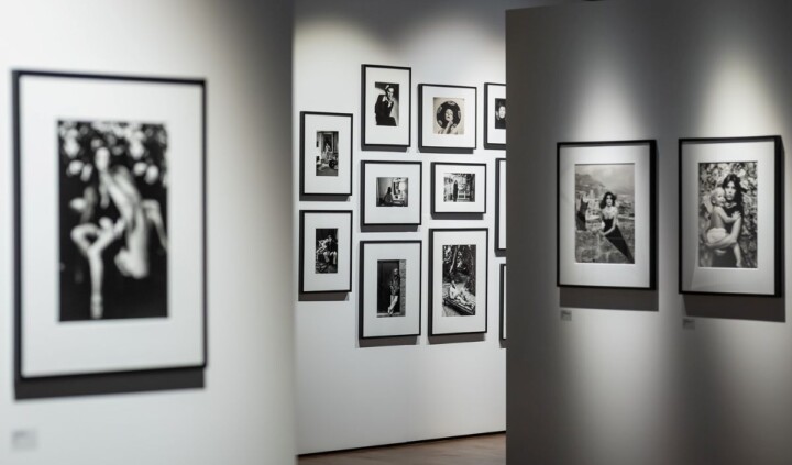 A Dual Gaze: Alice Springs x Helmut Newton