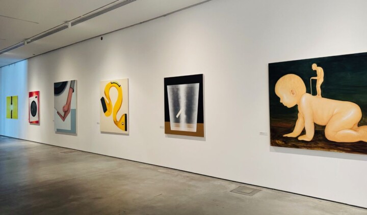 Dom dzienny, dom nocny. Prace z kolekcji Radosława Kotarskiego