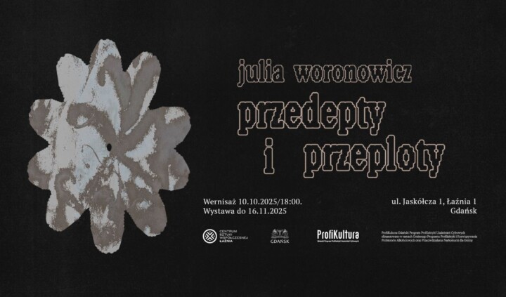 Przedepty i Przeploty. Julia Woronowicz