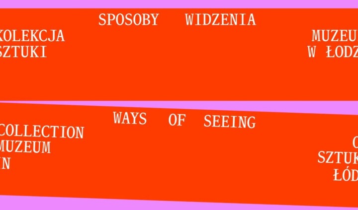 Sposoby widzenia. Kolekcja Muzeum Sztuki w Łodzi