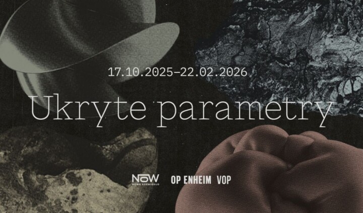 Ukryte Parametry