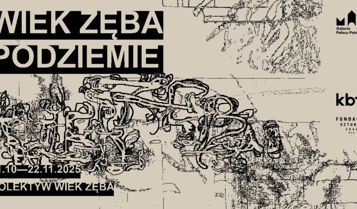 Wiek zęba: Podziemie