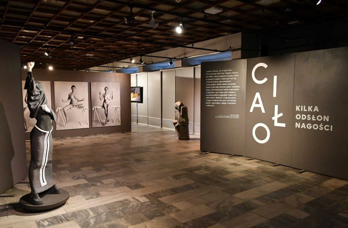 Ciało. Kilka odsłon nagości