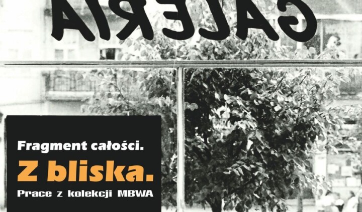 Fragment całości. Z bliska.