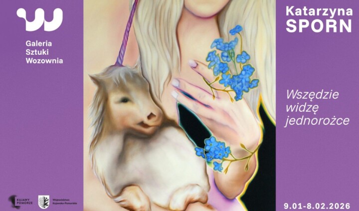 Wszędzie widzę jednorożce. Katarzyna Sporn