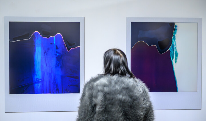 Maria Luiza Pyrlik. Inwentaryzacja 16 prześwietlenie