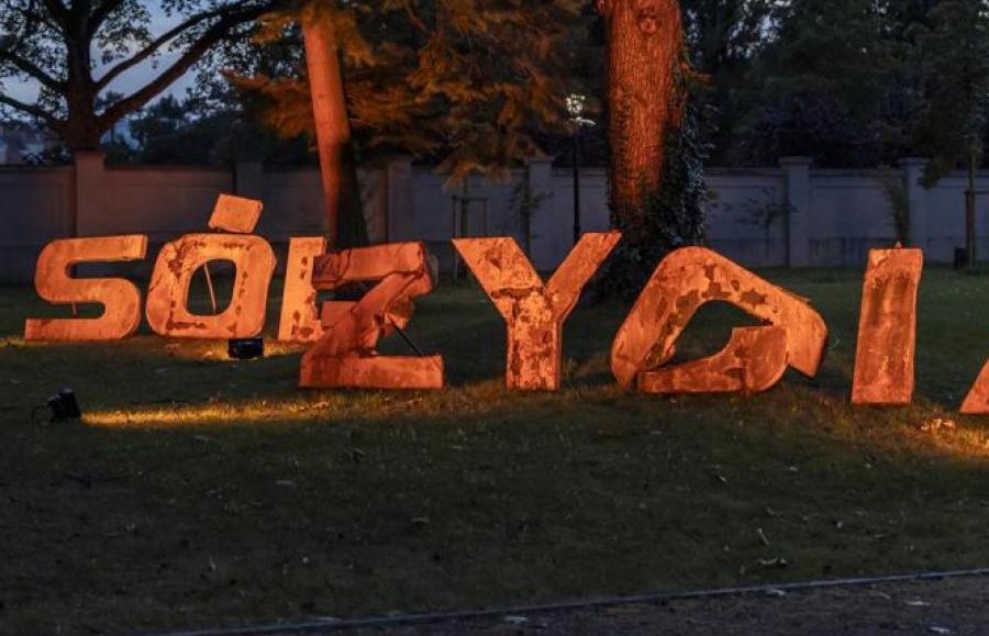 Sól życia. Piotr Pauka