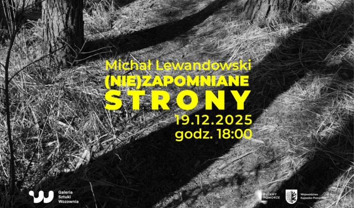 (Nie)zapomniane strony. Michał Lewandowski