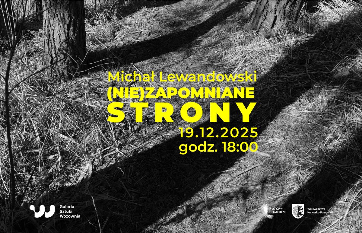 (Nie)zapomniane strony. Michał Lewandowski