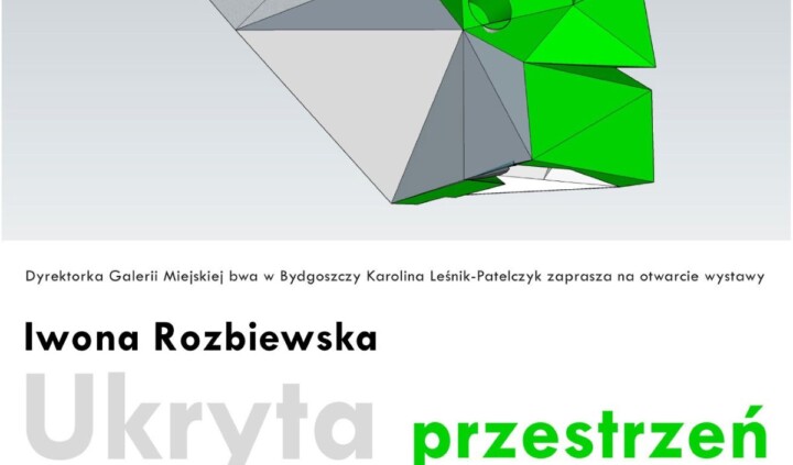 Iwona Rozbiewska. Ukryta przestrzeń