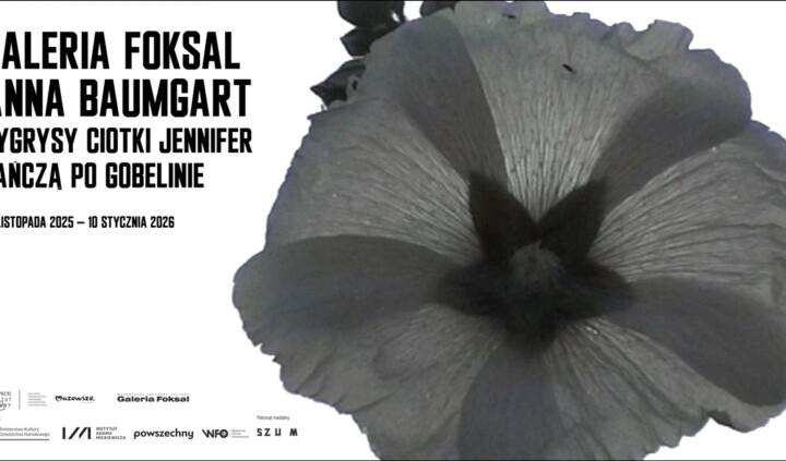 Anna Baumgart. Tygrysy ciotki Jennifer tańczą po gobelinie