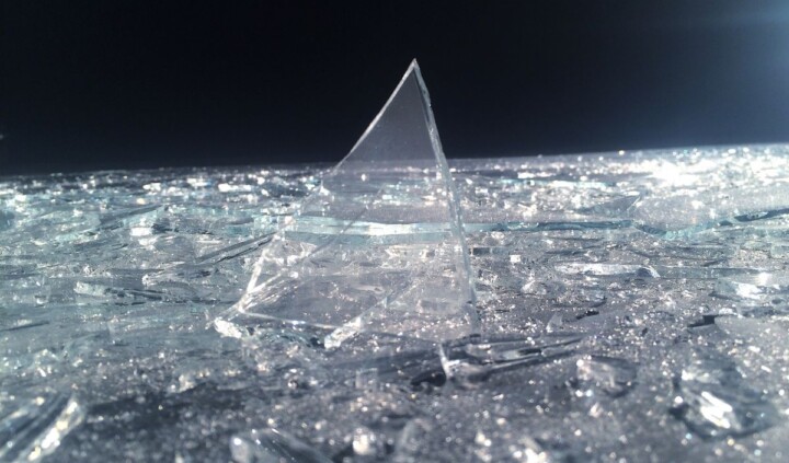 Anna Zaradny. Enjoy the Silence