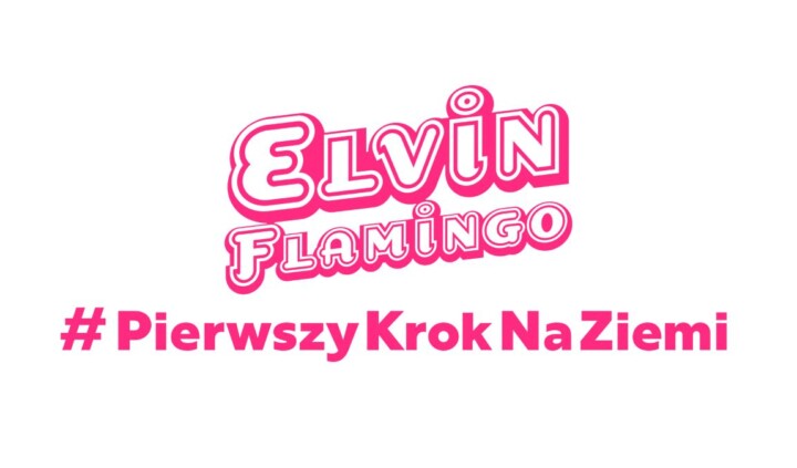 #PierwszyKrokNaZiemi. Elvin Flamingo