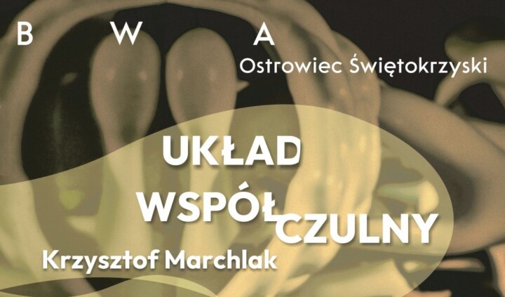 Krzysztof Marchlak. Układ współczulny