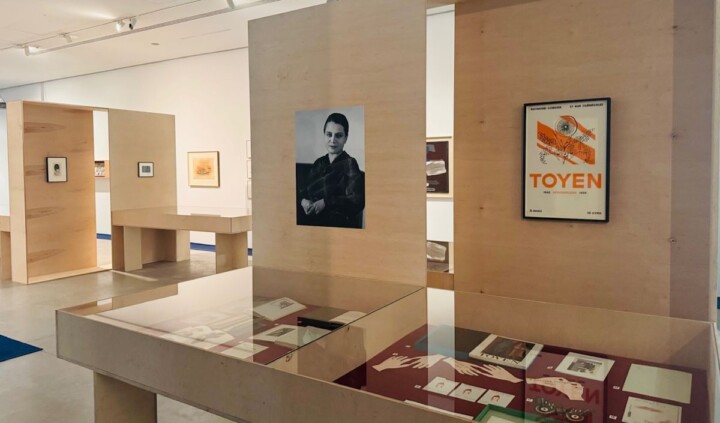 Toyen. Sny z obrzeży