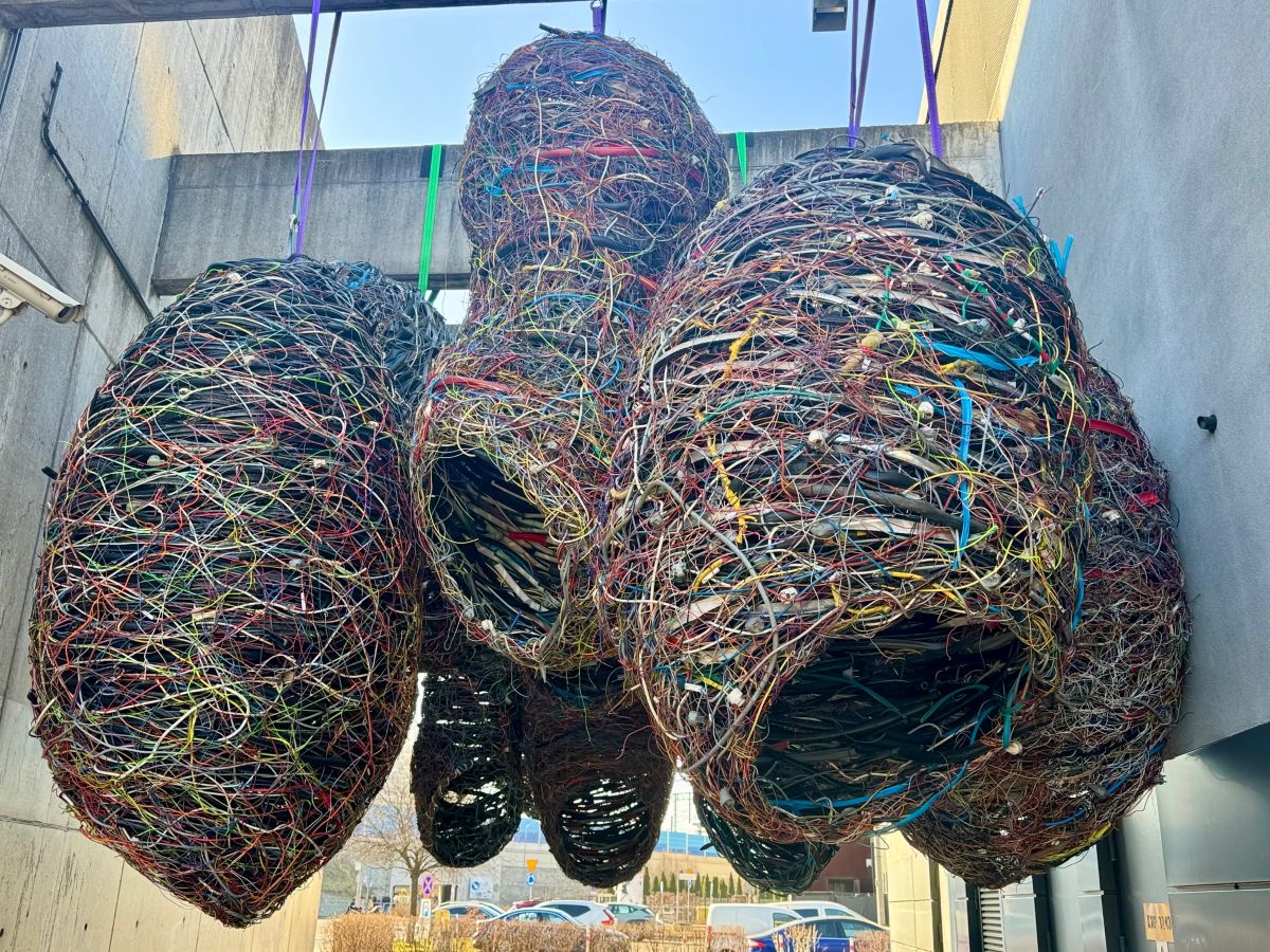 Katarzyna Krakowiak-Bałka. Ekologie współtworzenia