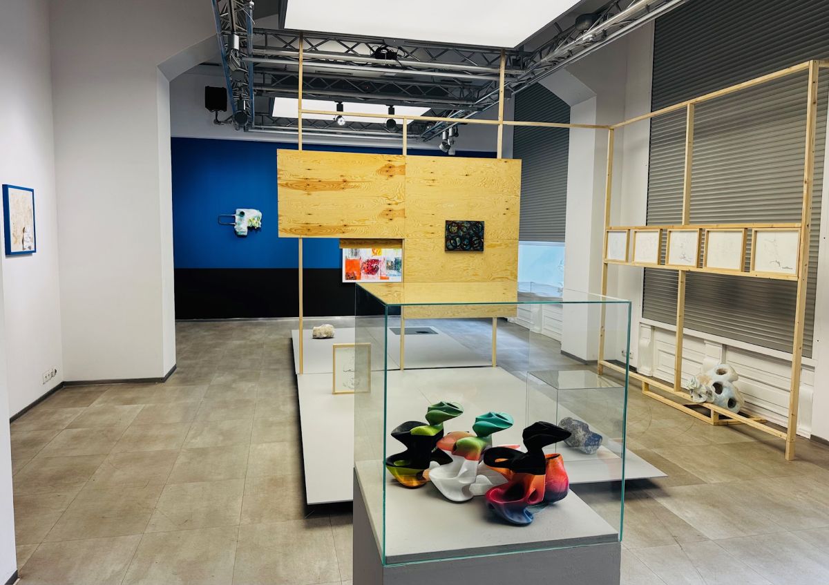 Vortex. Michał Sroka