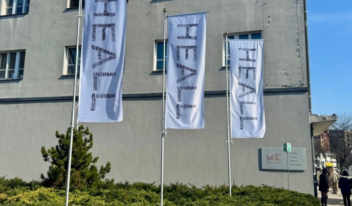 Monika Drożyńska. Heall