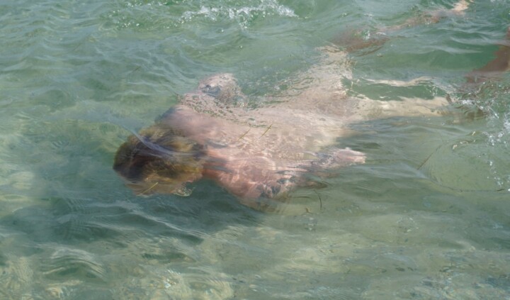 Katya Libkind. Rozpaczać – patrzeć