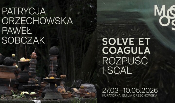 Solve et coagula. Patrycja Orzechowska, Paweł Sobczak