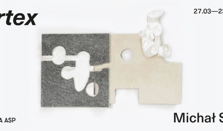 Vortex. Michał Sroka