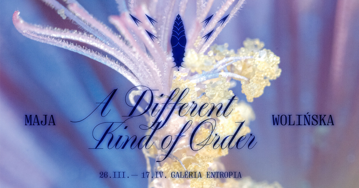 A Different Kind of Order. Maja Wolińska