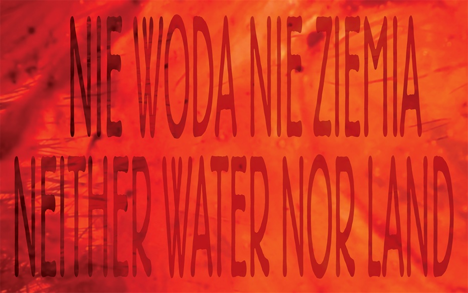 Nie woda nie ziemia