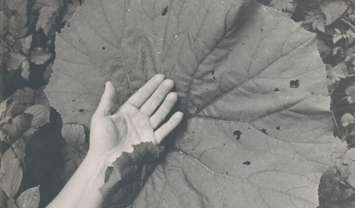 Poszukiwanie równowagi. Michal Kern