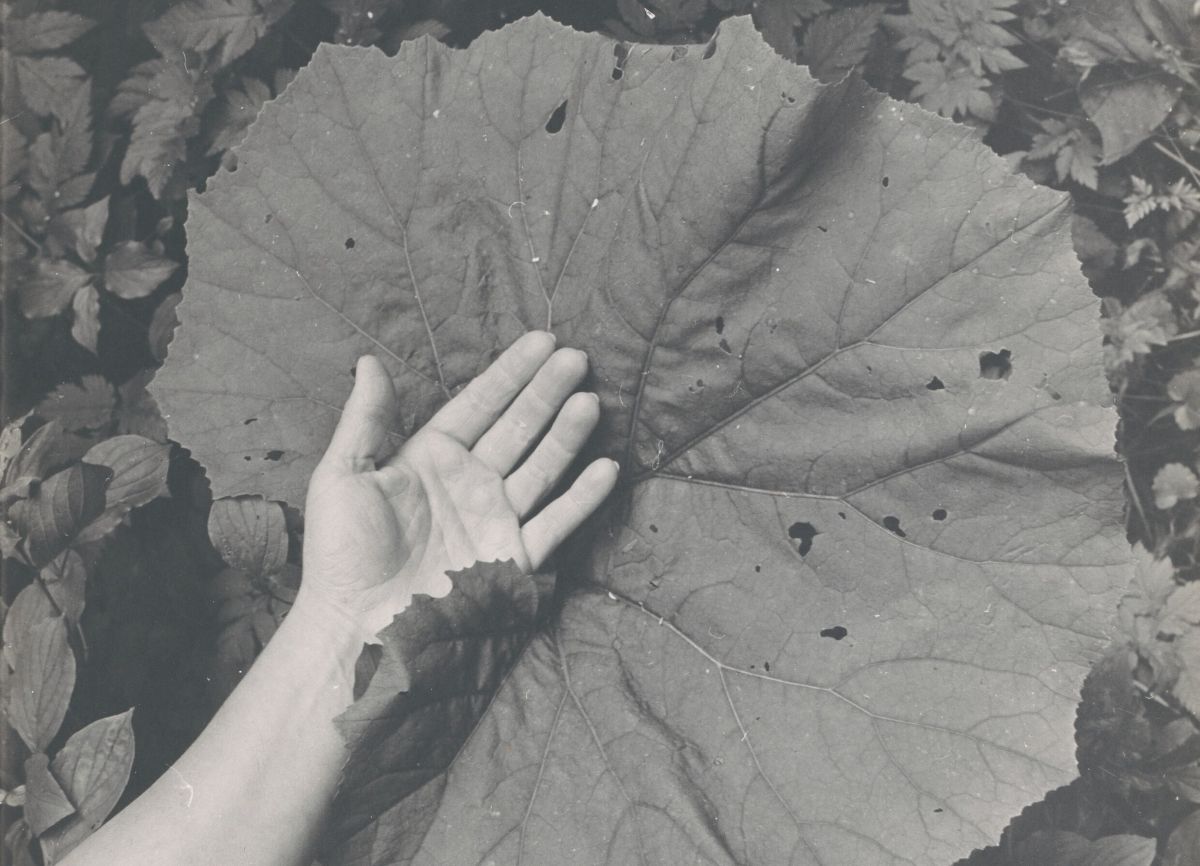 Poszukiwanie równowagi. Michal Kern