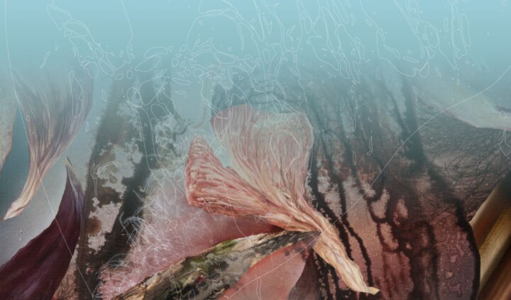 Paweł Matyszewski. Ukorzenianie