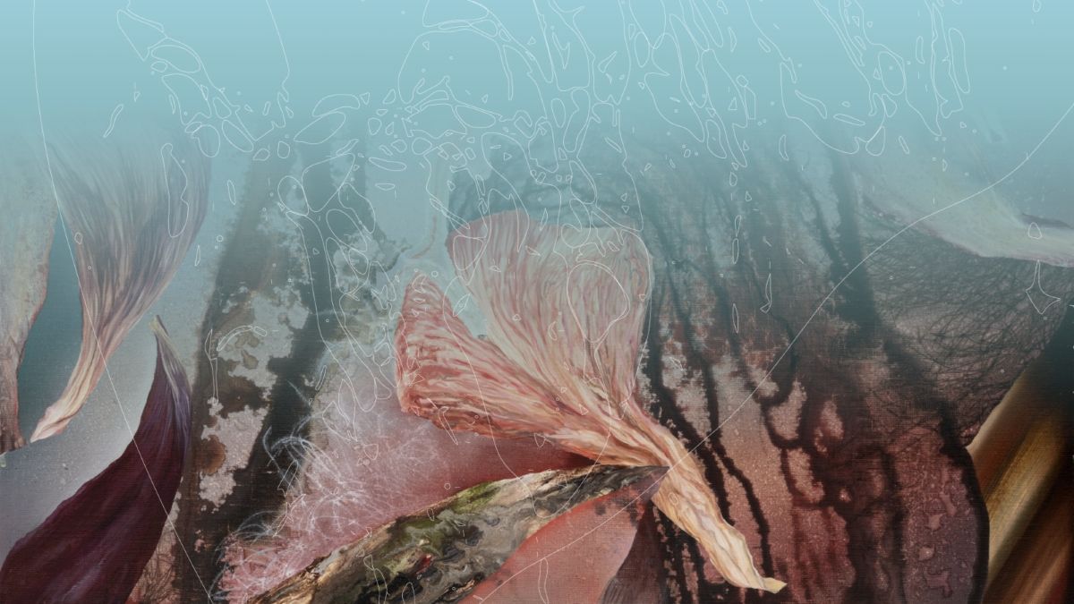 Paweł Matyszewski. Ukorzenianie