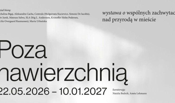 Poza nawierzchnią