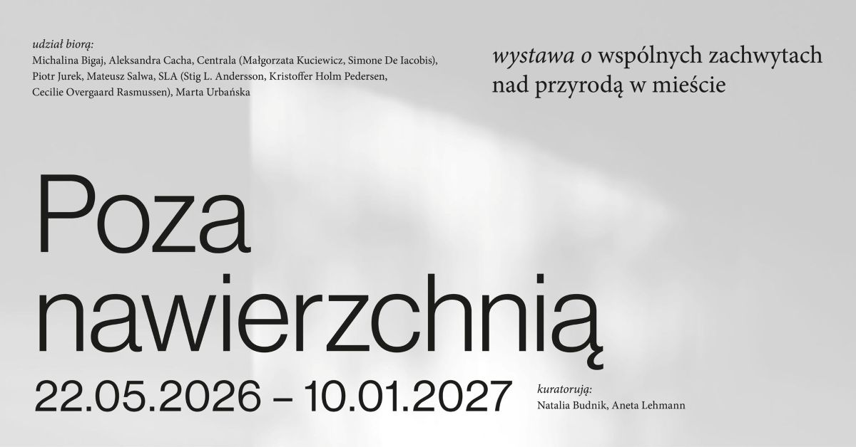 Poza nawierzchnią