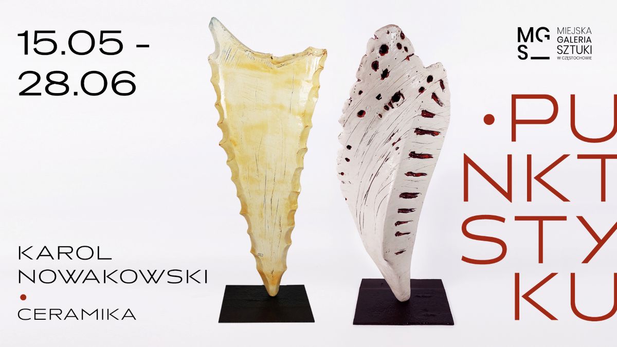 Karol Nowakowski. Punkt styku