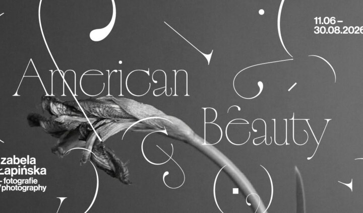 American Beauty. Izabela Łapińska