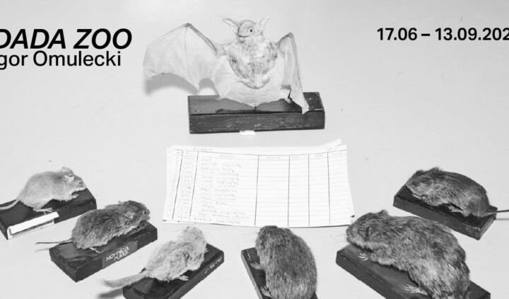 Dada Zoo. Igor Omulecki