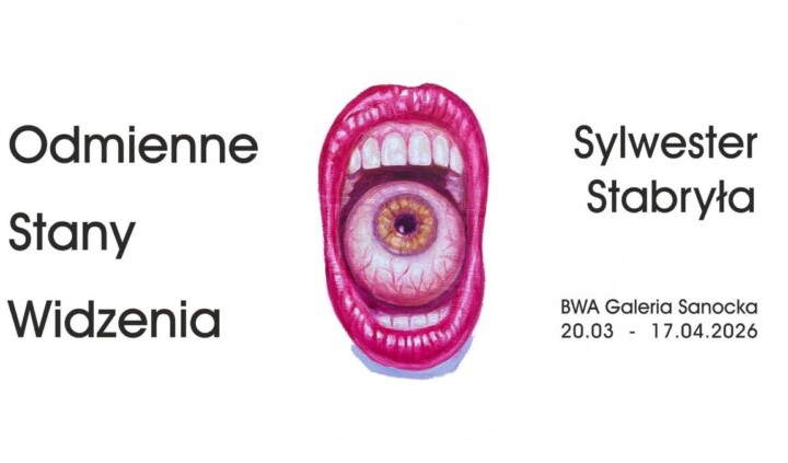 Sylwester Stabryła. Odmienne stany widzenia