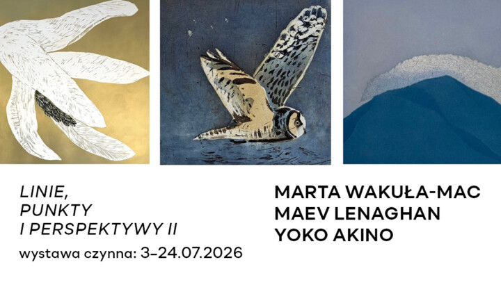 Linie, punkty i perspektywy II. Marta Wakuła-Mac, Maev Lenaghan, Yoko Akino