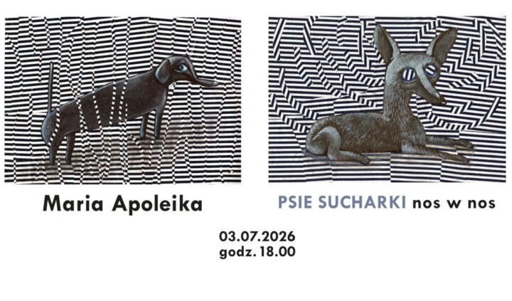 Maria Apoleika. Psie Sucharki. Nos w nos