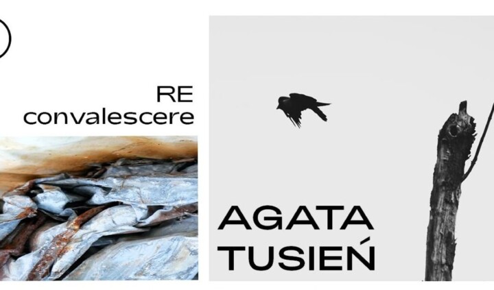 Re-convalescere. Agata Tusień