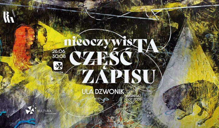 Ula Dzwonik. NieoczywisTA CZĘŚĆ ZAPISU