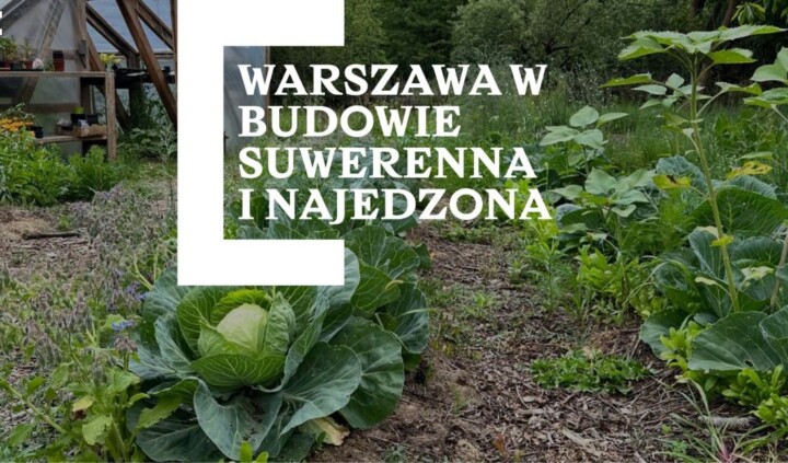 Warszawa w budowie 18. suwerenna i najedzona