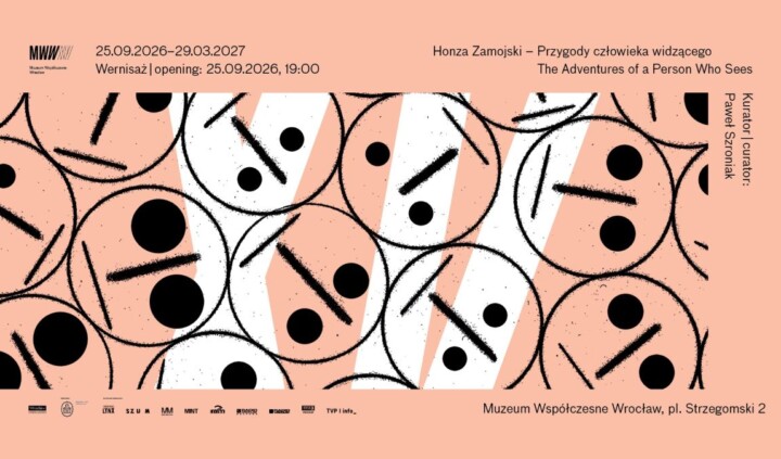 Honza Zamojski. Przygody człowieka widzącego