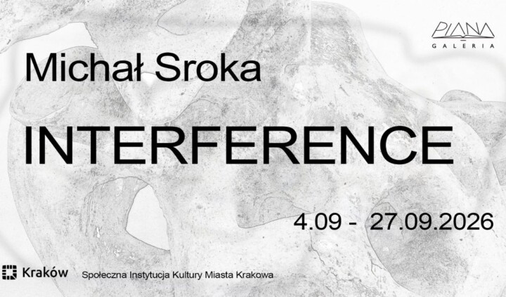 Interference. Michał Sroka