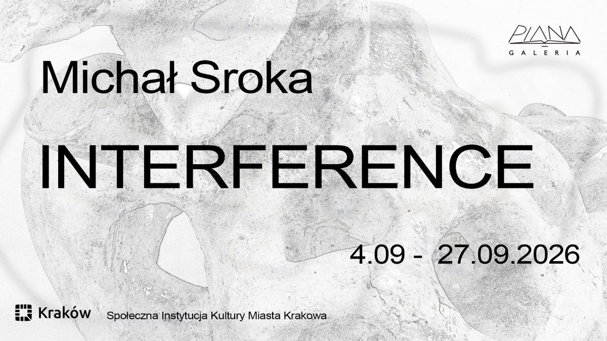 Interference. Michał Sroka