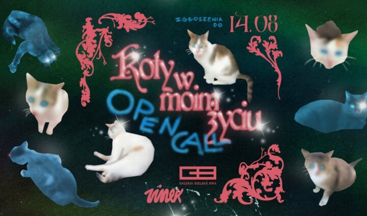 Koty w moim życiu